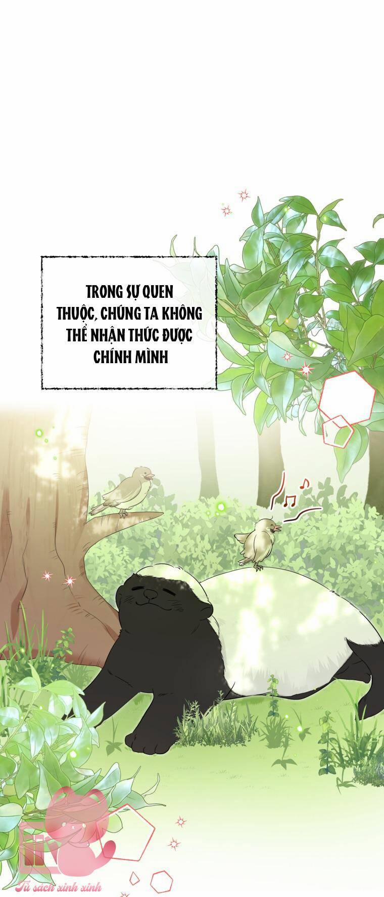 Dịch Vụ Chuyển Phát Hình Mẫu Lý Tưởng 25 trang 1