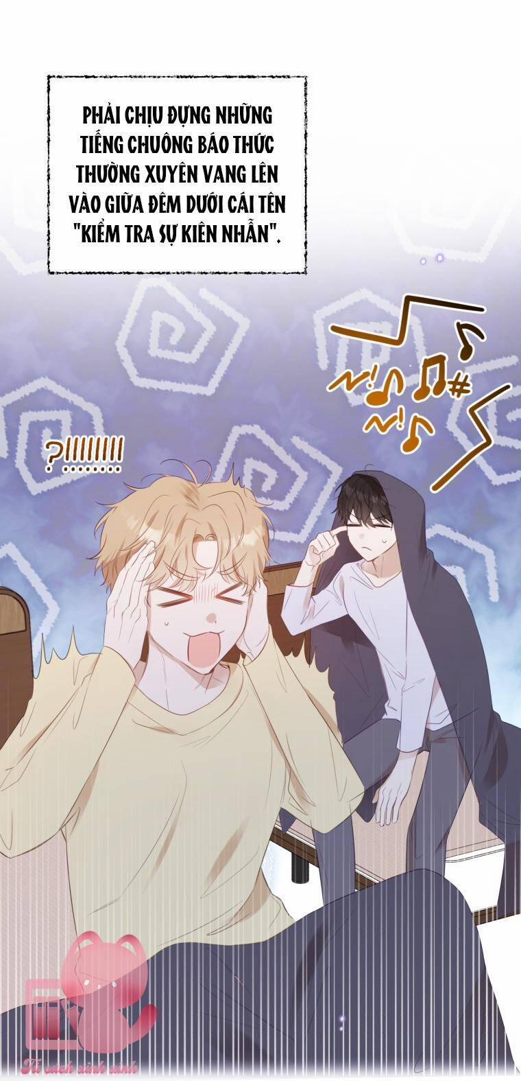 Dịch Vụ Chuyển Phát Hình Mẫu Lý Tưởng 25 trang 13