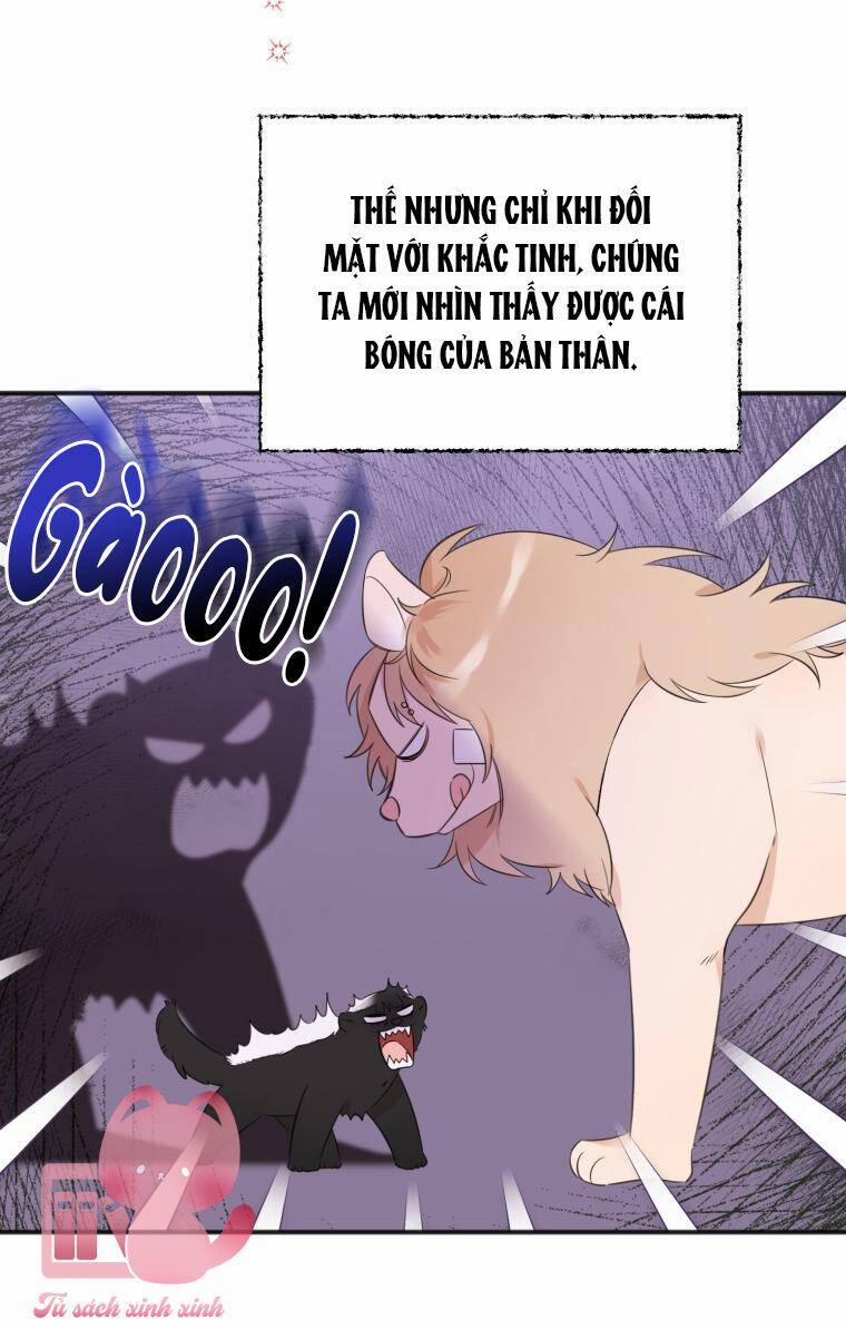 Dịch Vụ Chuyển Phát Hình Mẫu Lý Tưởng 25 trang 2