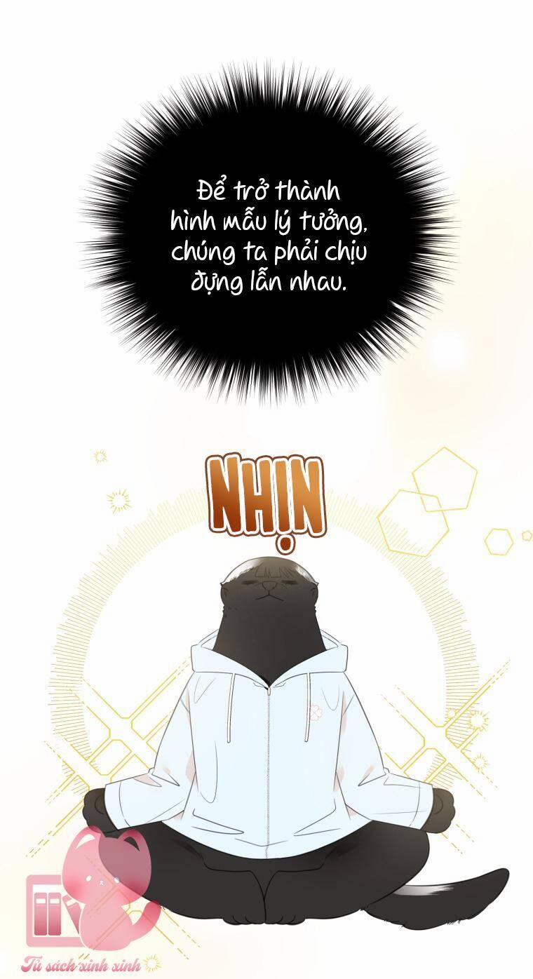 Dịch Vụ Chuyển Phát Hình Mẫu Lý Tưởng 25 trang 3