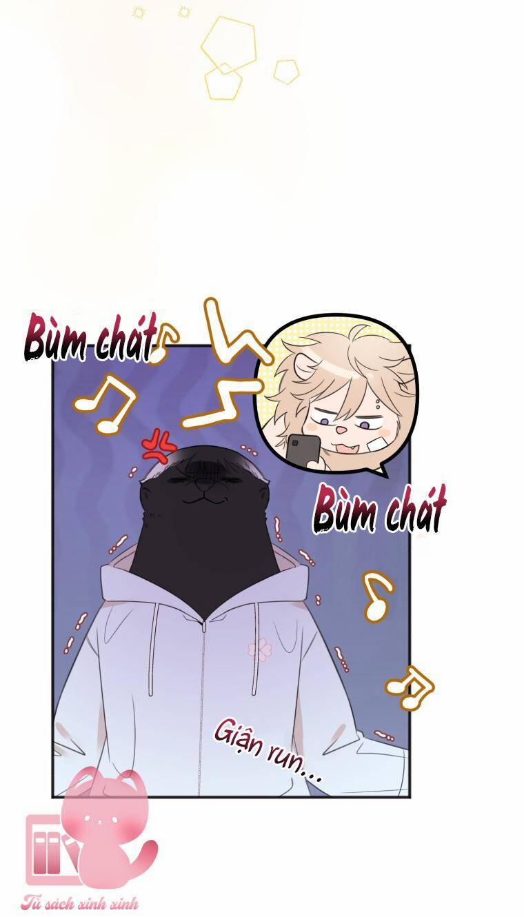 Dịch Vụ Chuyển Phát Hình Mẫu Lý Tưởng 25 trang 4