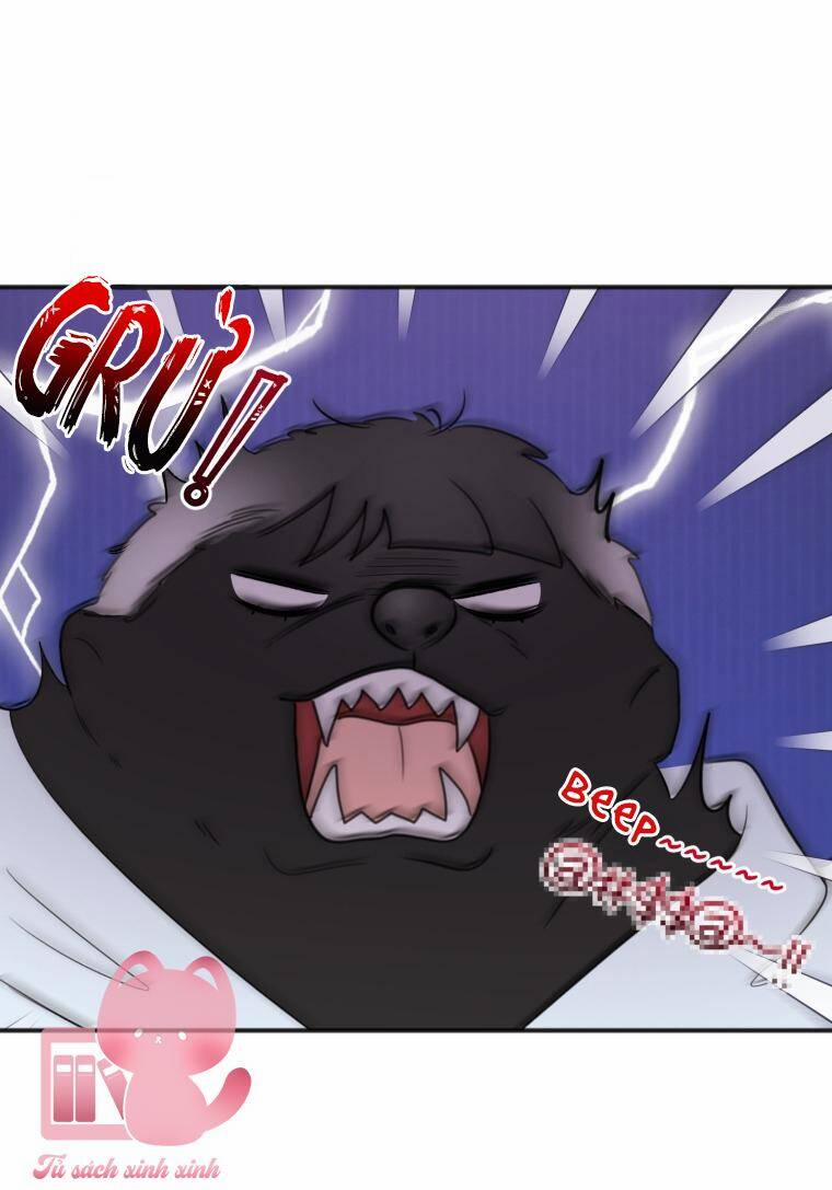 Dịch Vụ Chuyển Phát Hình Mẫu Lý Tưởng 25 trang 5