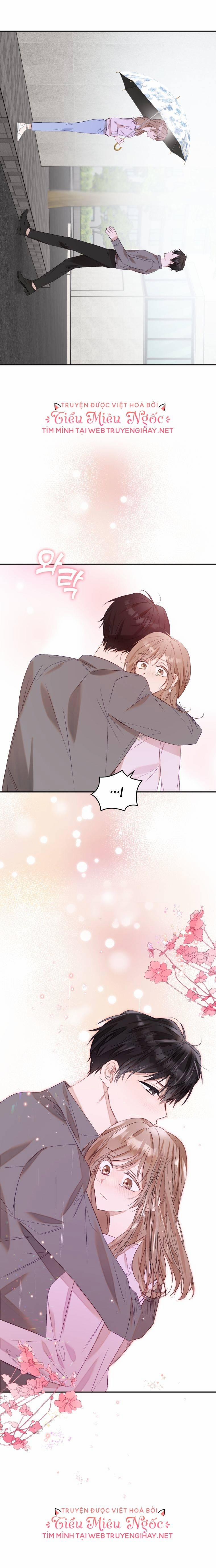 Dịch Vụ Chuyển Phát Hình Mẫu Lý Tưởng 27 trang 11