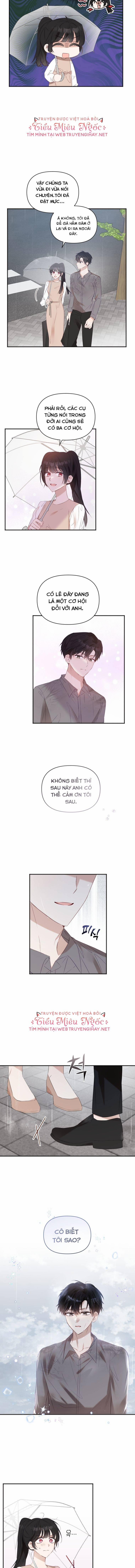 Dịch Vụ Chuyển Phát Hình Mẫu Lý Tưởng 27 trang 8