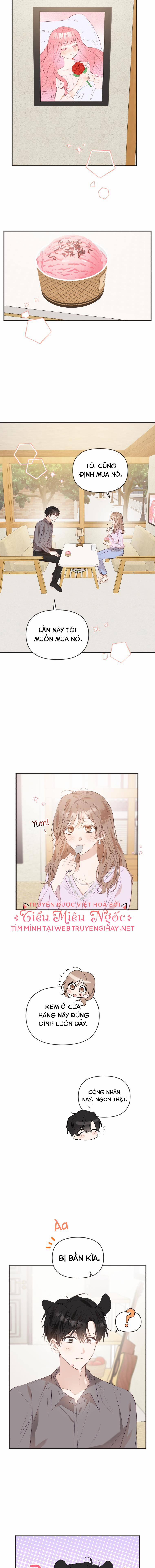 Dịch Vụ Chuyển Phát Hình Mẫu Lý Tưởng 28 trang 9