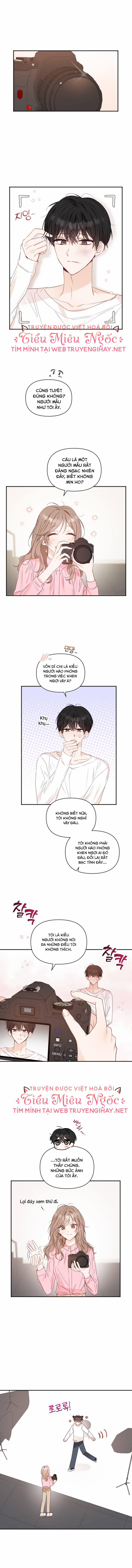 Dịch Vụ Chuyển Phát Hình Mẫu Lý Tưởng 31 trang 3