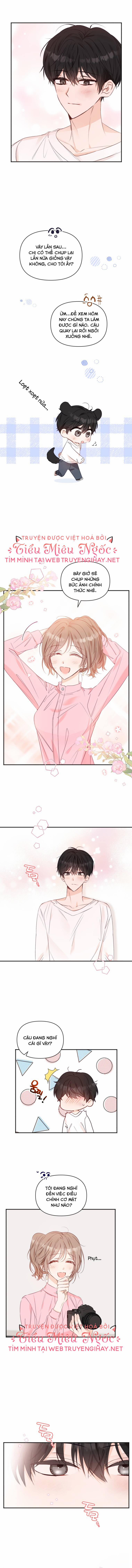 Dịch Vụ Chuyển Phát Hình Mẫu Lý Tưởng 31 trang 7