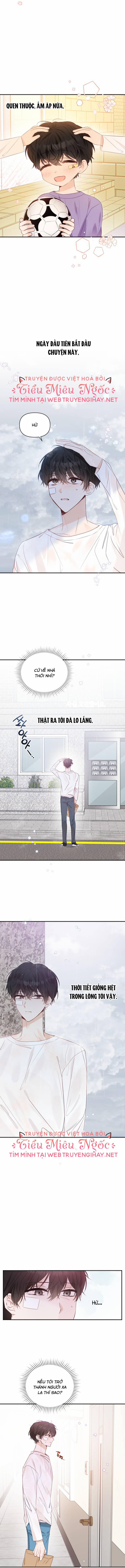 Dịch Vụ Chuyển Phát Hình Mẫu Lý Tưởng 32 trang 2