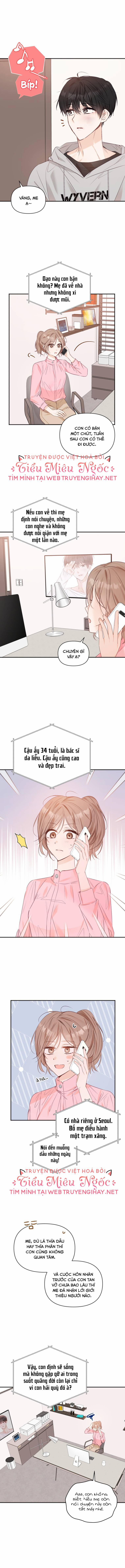 Dịch Vụ Chuyển Phát Hình Mẫu Lý Tưởng 33 trang 2