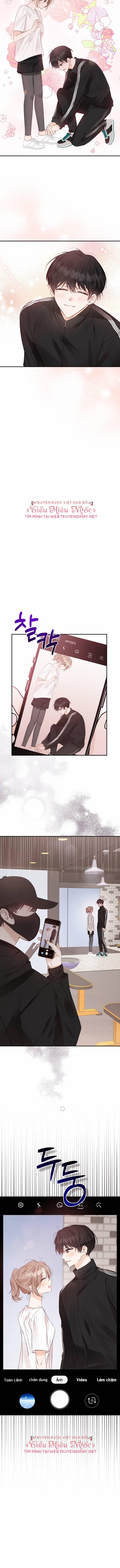 Dịch Vụ Chuyển Phát Hình Mẫu Lý Tưởng 34 trang 12