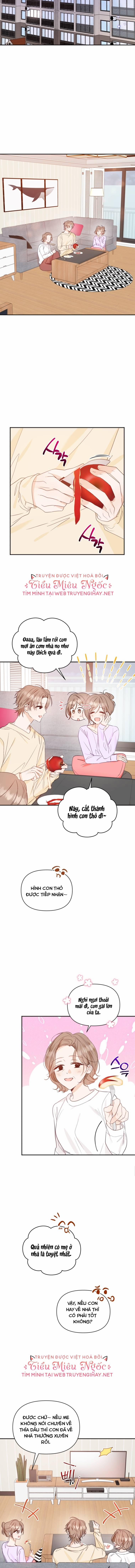 Dịch Vụ Chuyển Phát Hình Mẫu Lý Tưởng 34 trang 5