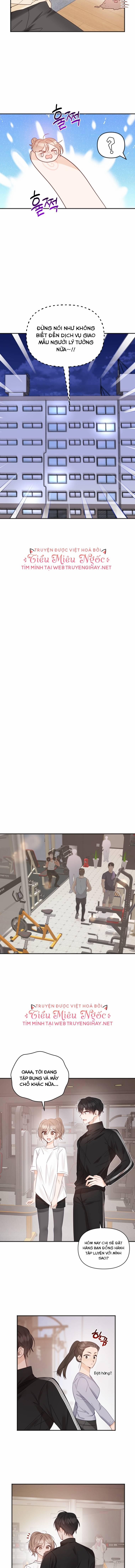 Dịch Vụ Chuyển Phát Hình Mẫu Lý Tưởng 34 trang 8