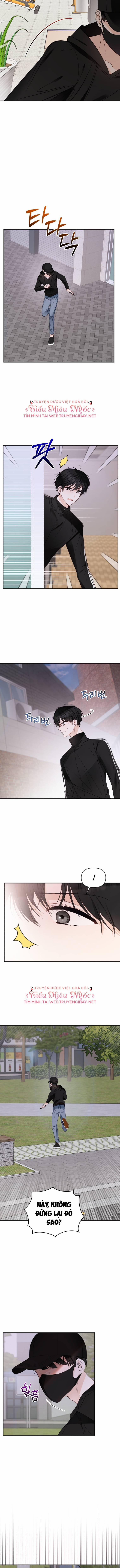 Dịch Vụ Chuyển Phát Hình Mẫu Lý Tưởng 35 trang 5