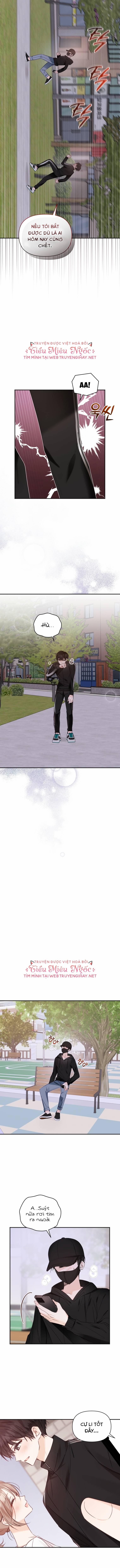 Dịch Vụ Chuyển Phát Hình Mẫu Lý Tưởng 35 trang 6