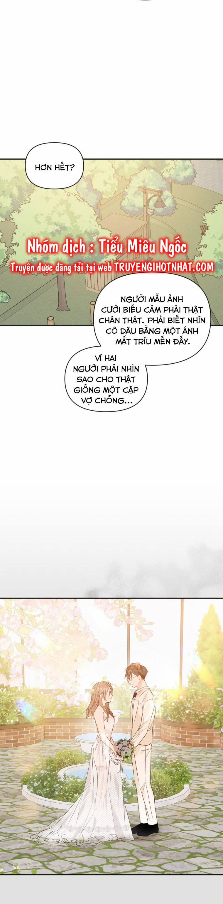 Dịch Vụ Chuyển Phát Hình Mẫu Lý Tưởng 40 trang 22