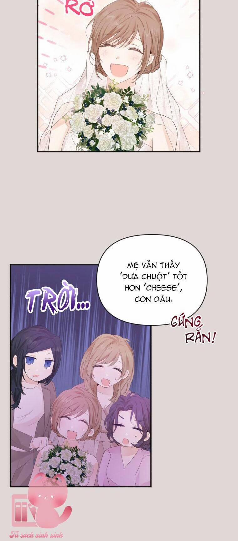 Dịch Vụ Chuyển Phát Hình Mẫu Lý Tưởng 5 trang 5