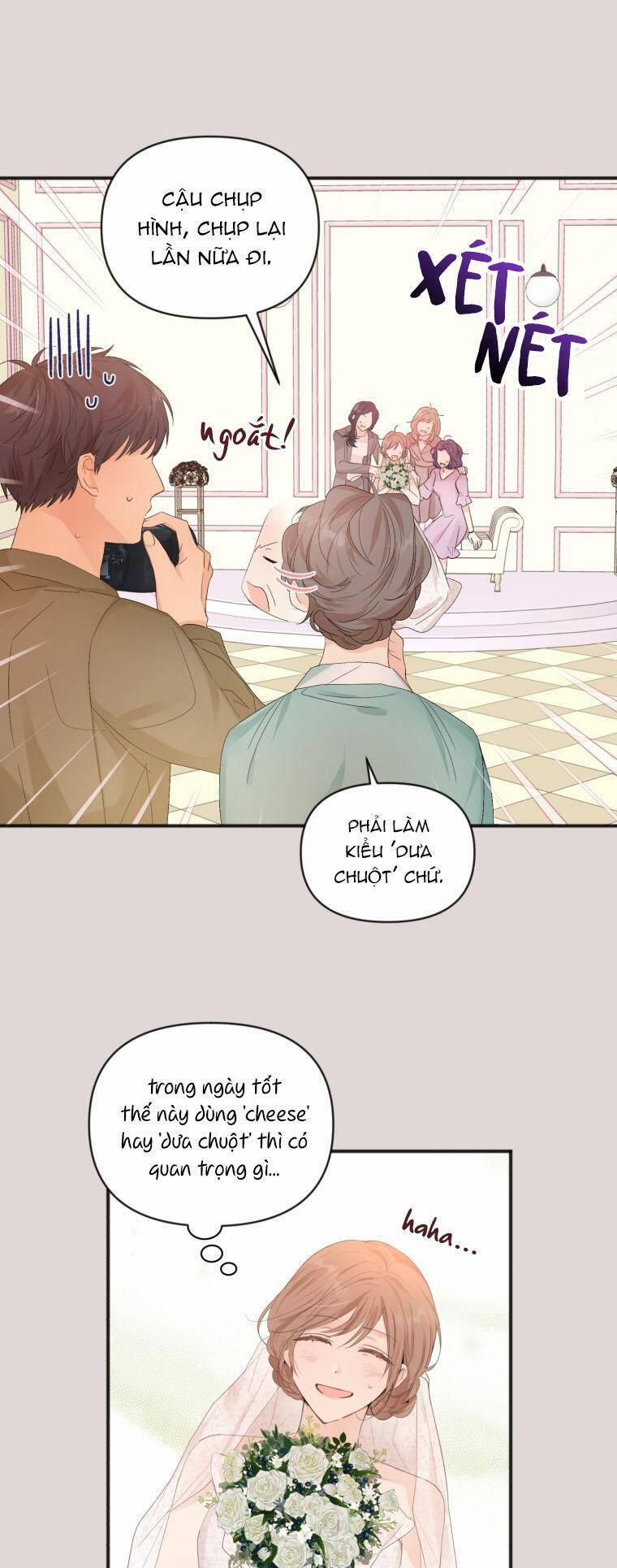 Dịch Vụ Chuyển Phát Hình Mẫu Lý Tưởng 5 trang 6