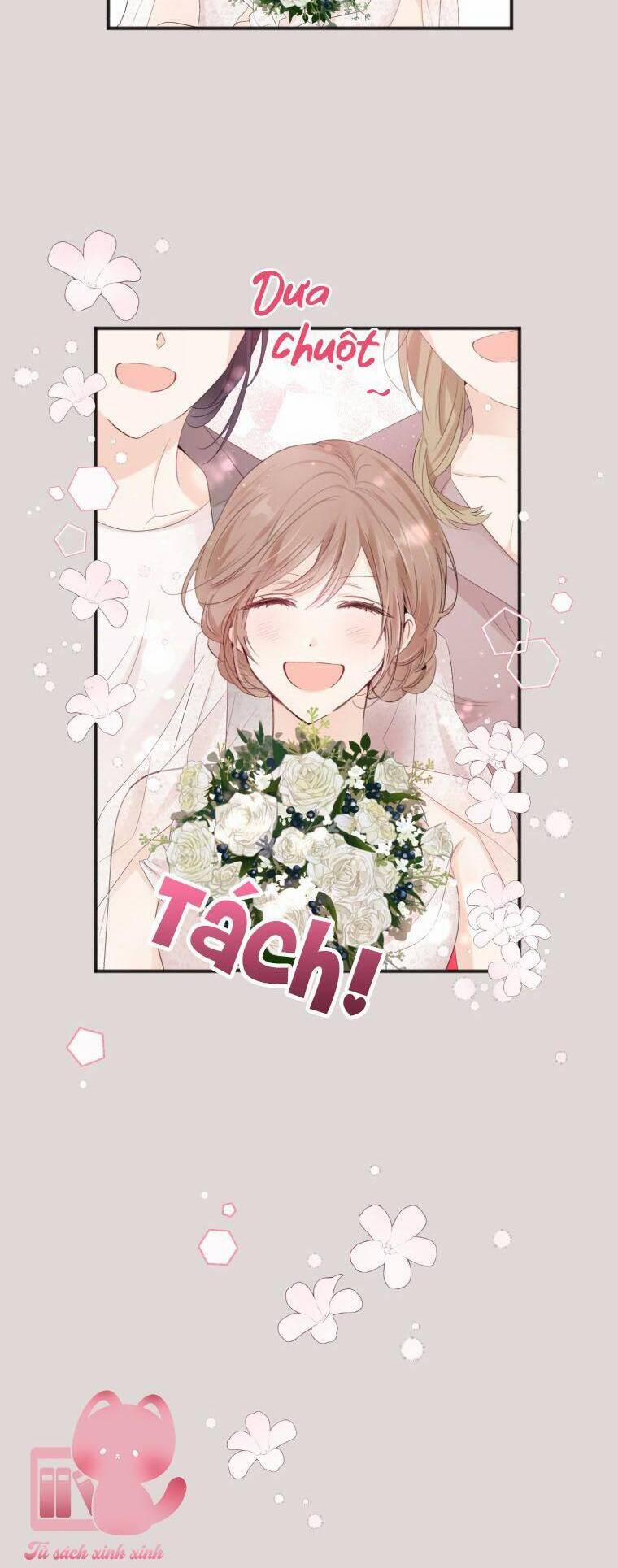 Dịch Vụ Chuyển Phát Hình Mẫu Lý Tưởng 5 trang 7