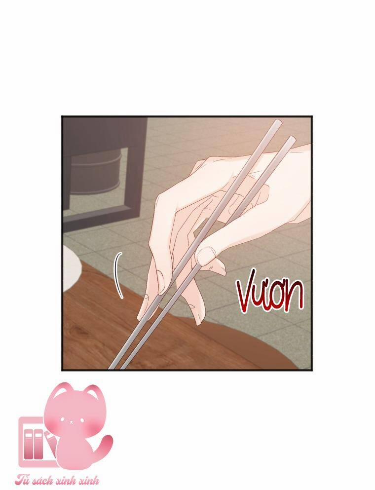 Dịch Vụ Chuyển Phát Hình Mẫu Lý Tưởng 6 trang 15