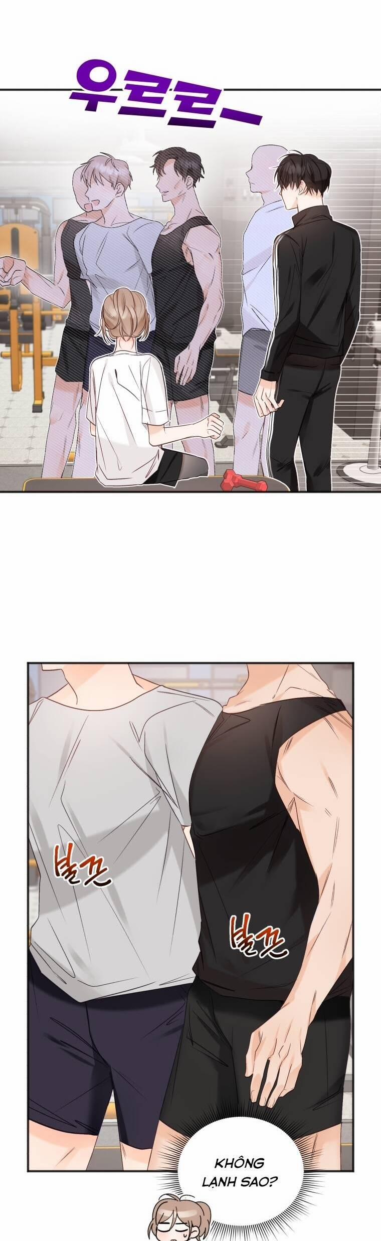 Dịch Vụ Chuyển Phát Hình Mẫu Lý Tưởng 69 trang 12