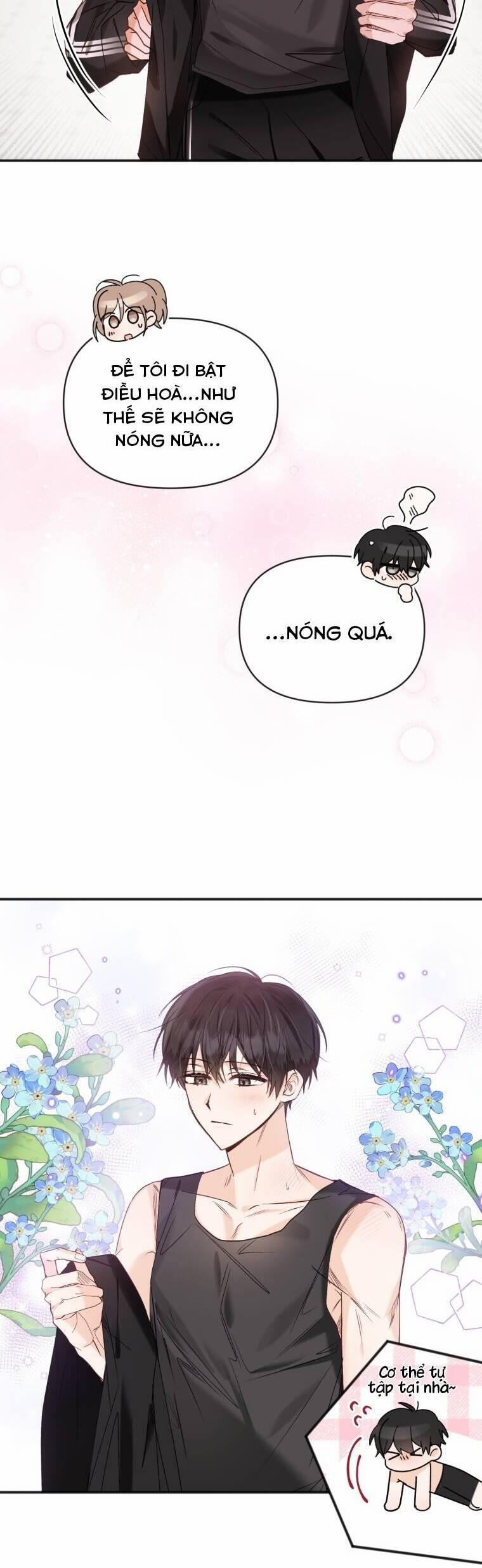 Dịch Vụ Chuyển Phát Hình Mẫu Lý Tưởng 69 trang 14