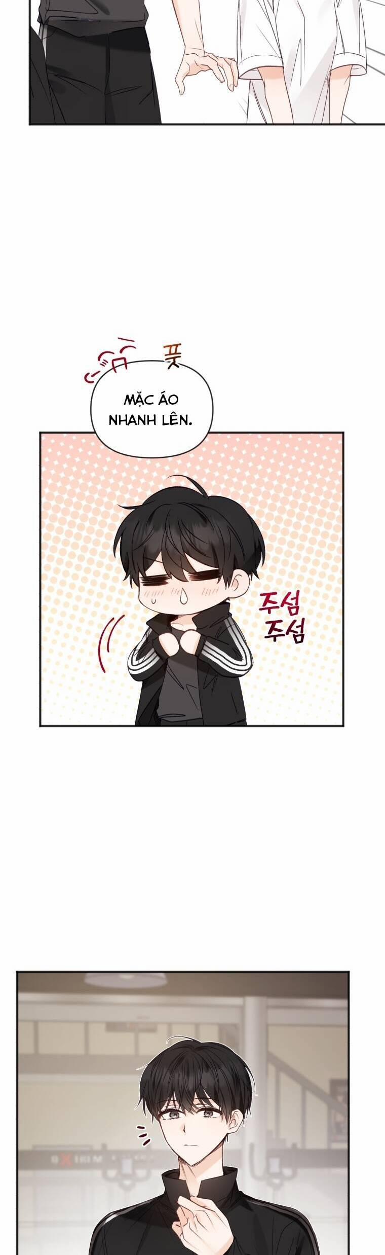 Dịch Vụ Chuyển Phát Hình Mẫu Lý Tưởng 69 trang 16