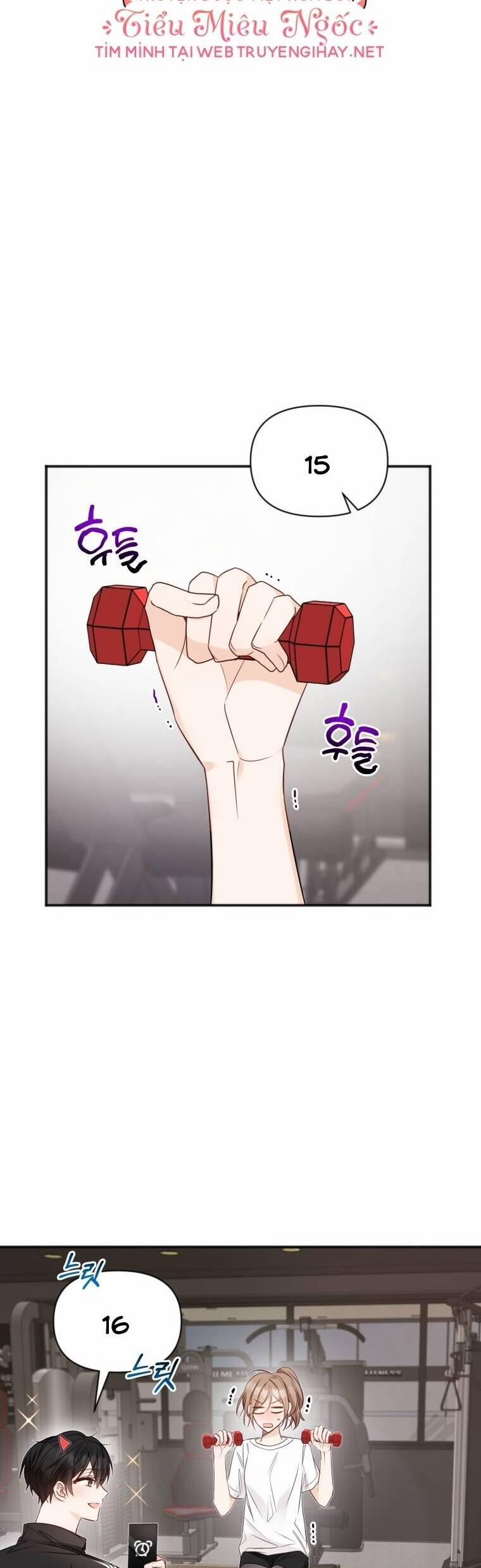 Dịch Vụ Chuyển Phát Hình Mẫu Lý Tưởng 69 trang 6