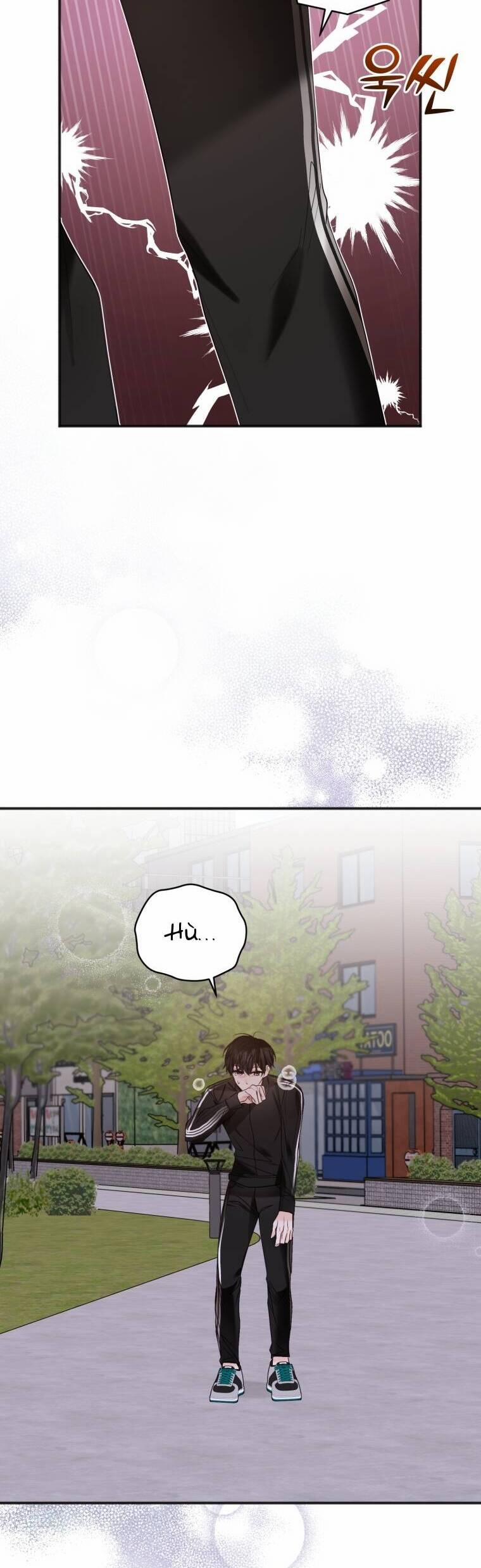 Dịch Vụ Chuyển Phát Hình Mẫu Lý Tưởng 70 trang 1