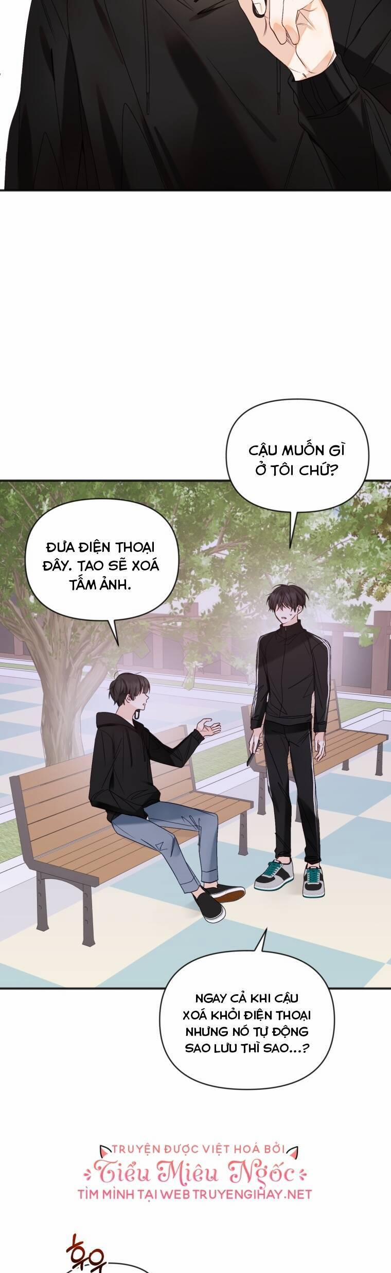 Dịch Vụ Chuyển Phát Hình Mẫu Lý Tưởng 70 trang 12