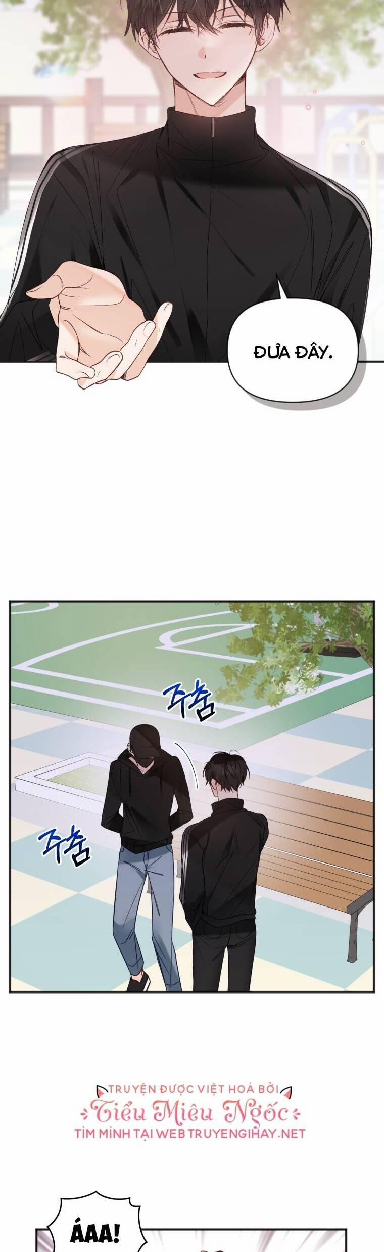 Dịch Vụ Chuyển Phát Hình Mẫu Lý Tưởng 70 trang 6