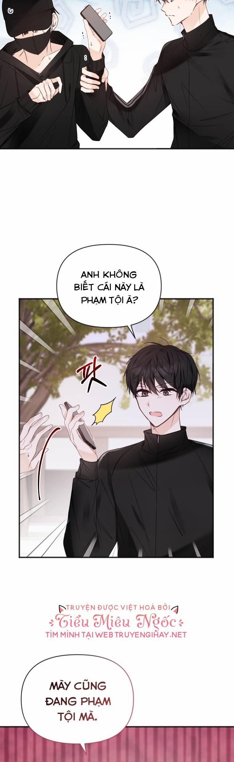 Dịch Vụ Chuyển Phát Hình Mẫu Lý Tưởng 70 trang 8