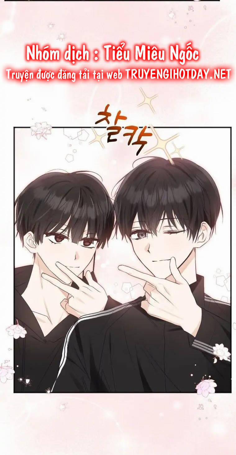 Dịch Vụ Chuyển Phát Hình Mẫu Lý Tưởng 71 trang 11