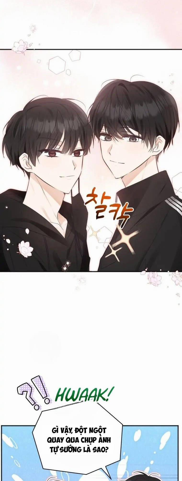 Dịch Vụ Chuyển Phát Hình Mẫu Lý Tưởng 71 trang 12