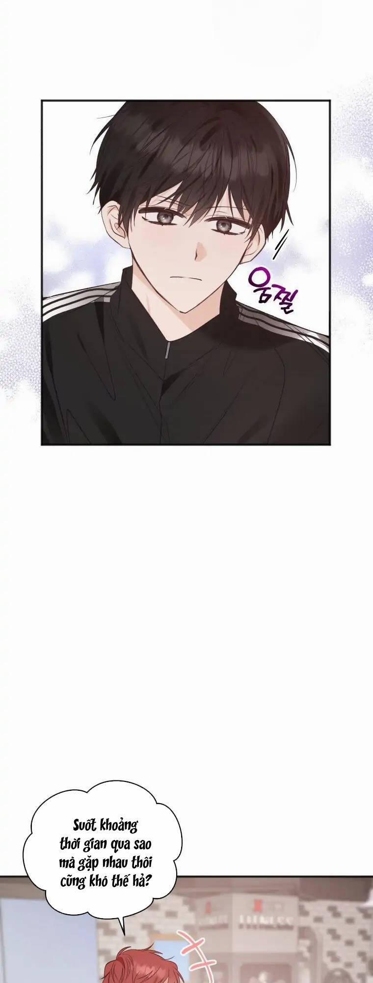 Dịch Vụ Chuyển Phát Hình Mẫu Lý Tưởng 71 trang 28