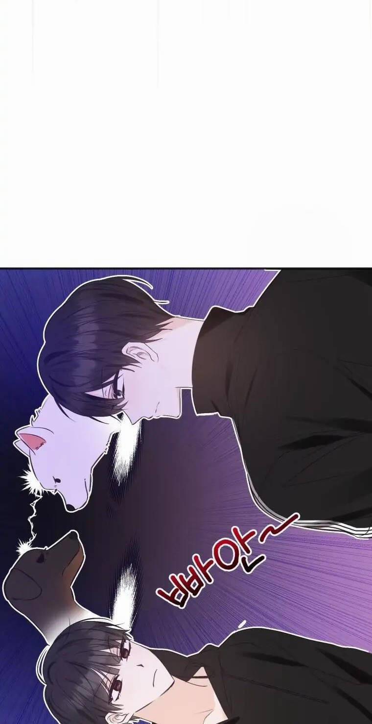 Dịch Vụ Chuyển Phát Hình Mẫu Lý Tưởng 71 trang 7