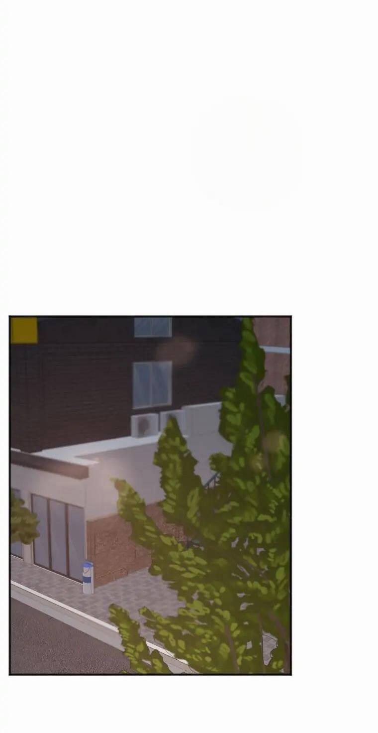 Dịch Vụ Chuyển Phát Hình Mẫu Lý Tưởng 72 trang 26