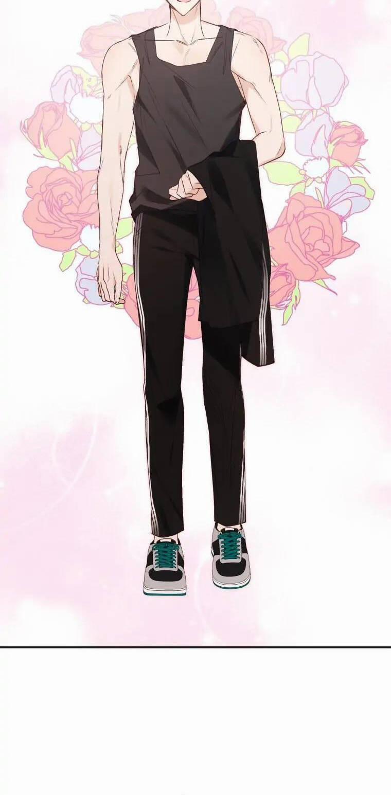 Dịch Vụ Chuyển Phát Hình Mẫu Lý Tưởng 72 trang 3