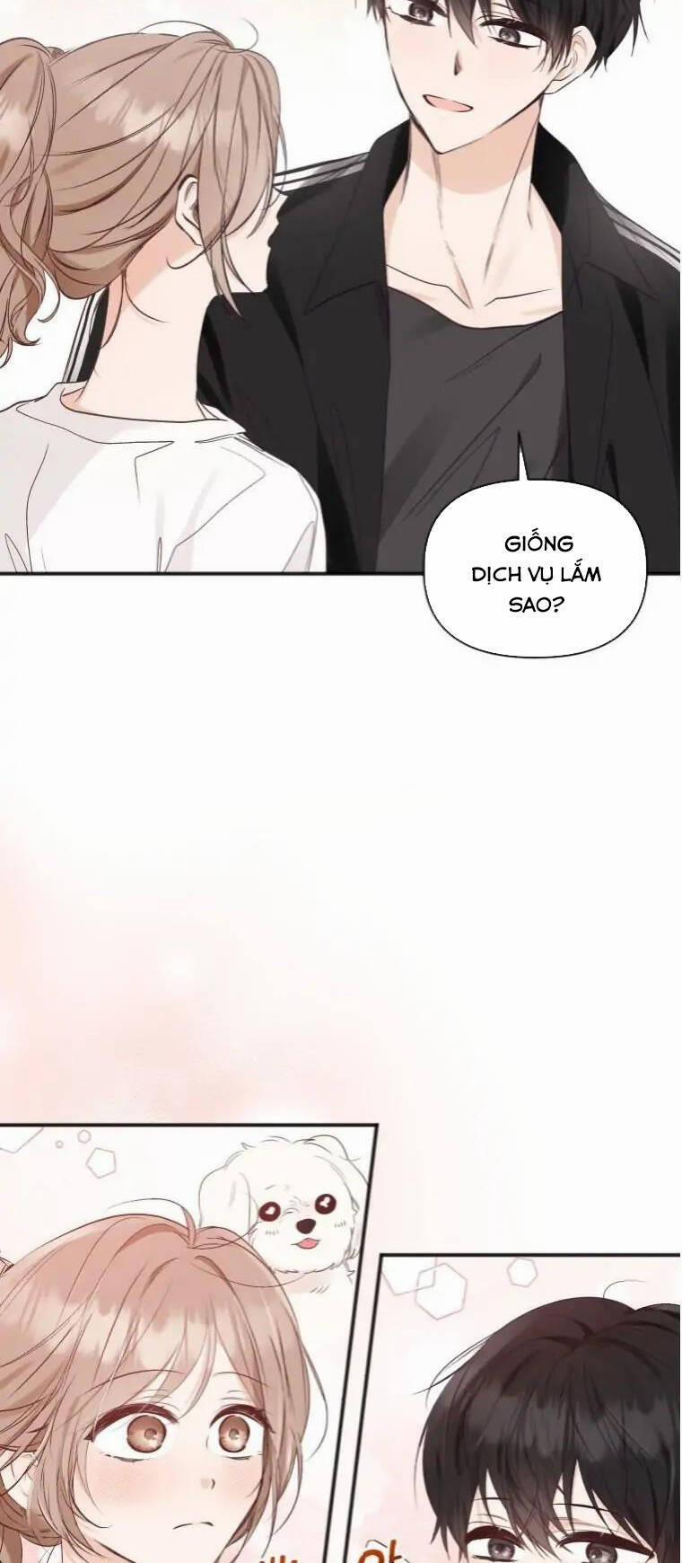 Dịch Vụ Chuyển Phát Hình Mẫu Lý Tưởng 72 trang 8