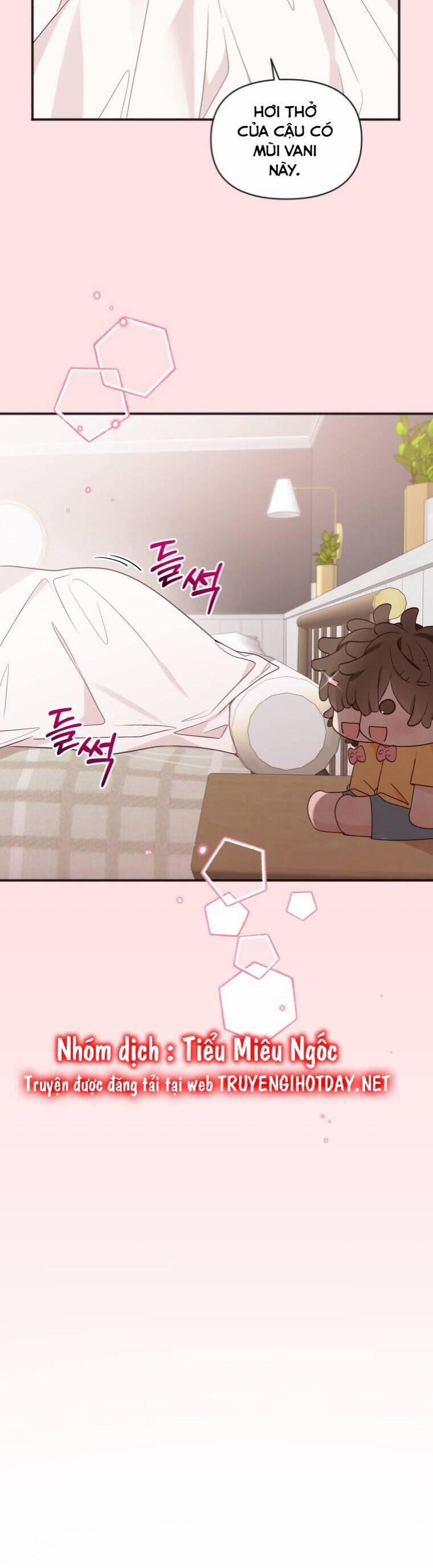 Dịch Vụ Chuyển Phát Hình Mẫu Lý Tưởng 77 trang 7