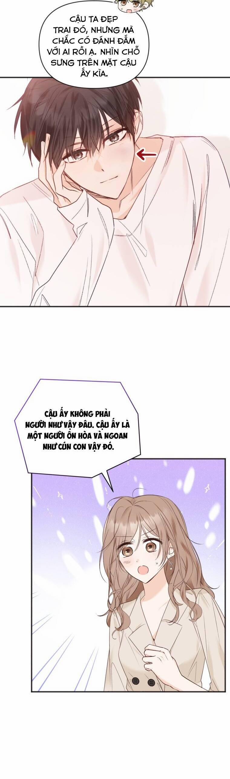 Dịch Vụ Chuyển Phát Hình Mẫu Lý Tưởng 79 trang 12