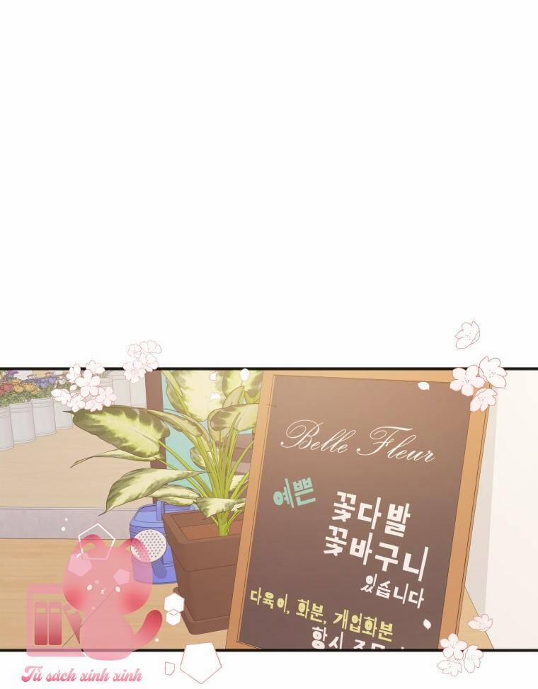 Dịch Vụ Chuyển Phát Hình Mẫu Lý Tưởng 8 trang 13