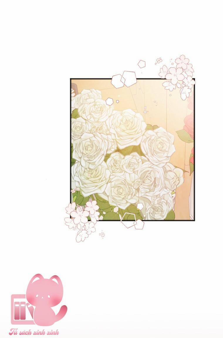 Dịch Vụ Chuyển Phát Hình Mẫu Lý Tưởng 8 trang 18