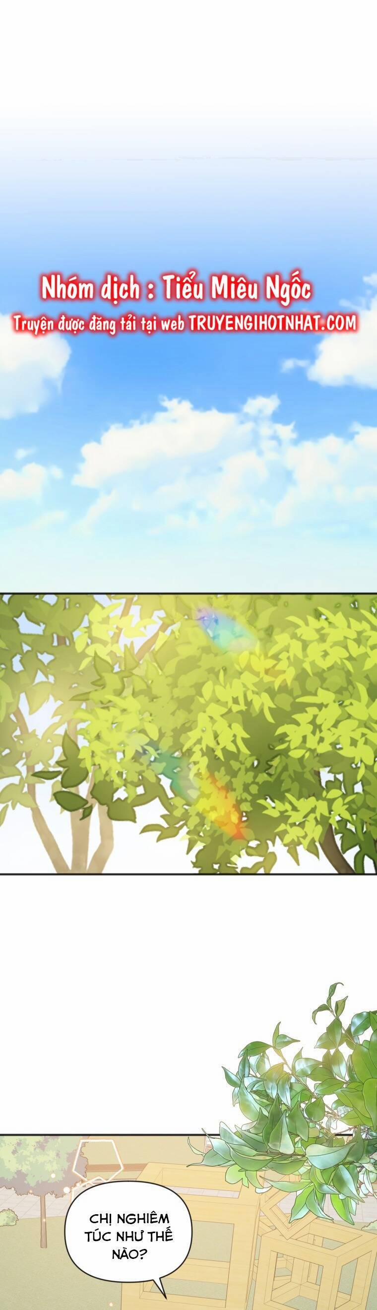 Dịch Vụ Chuyển Phát Hình Mẫu Lý Tưởng 80 trang 4