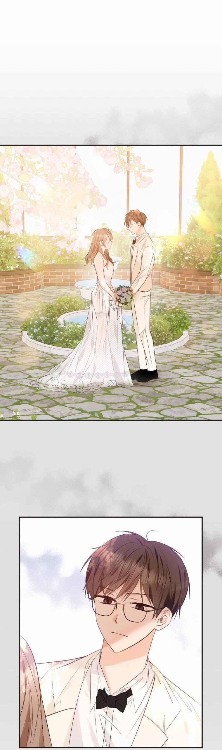 Dịch Vụ Chuyển Phát Hình Mẫu Lý Tưởng 80 trang 8