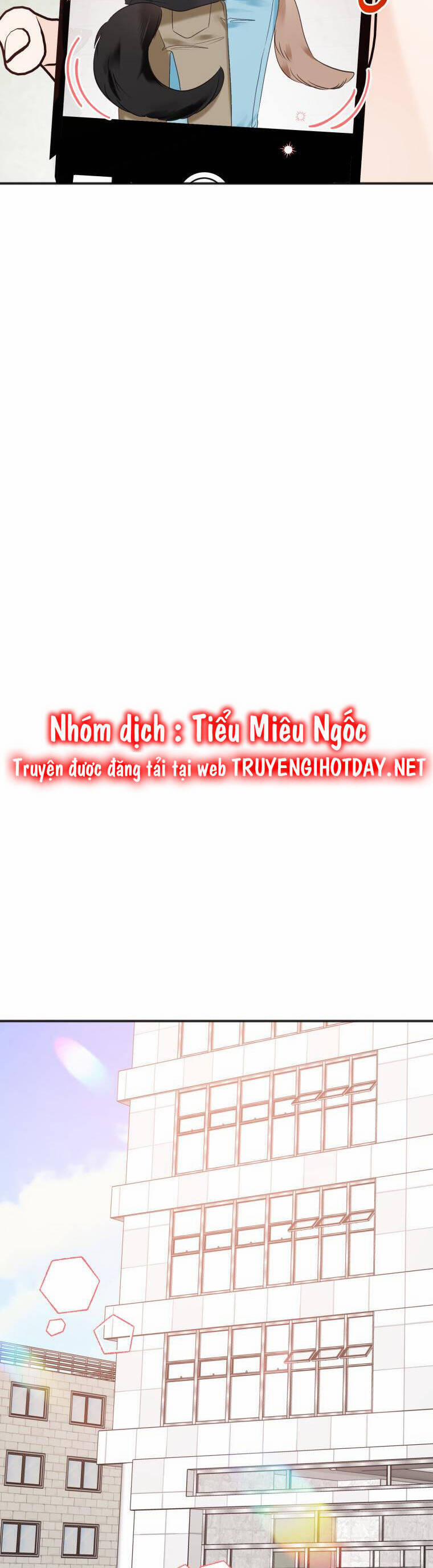 Dịch Vụ Chuyển Phát Hình Mẫu Lý Tưởng 82 trang 17