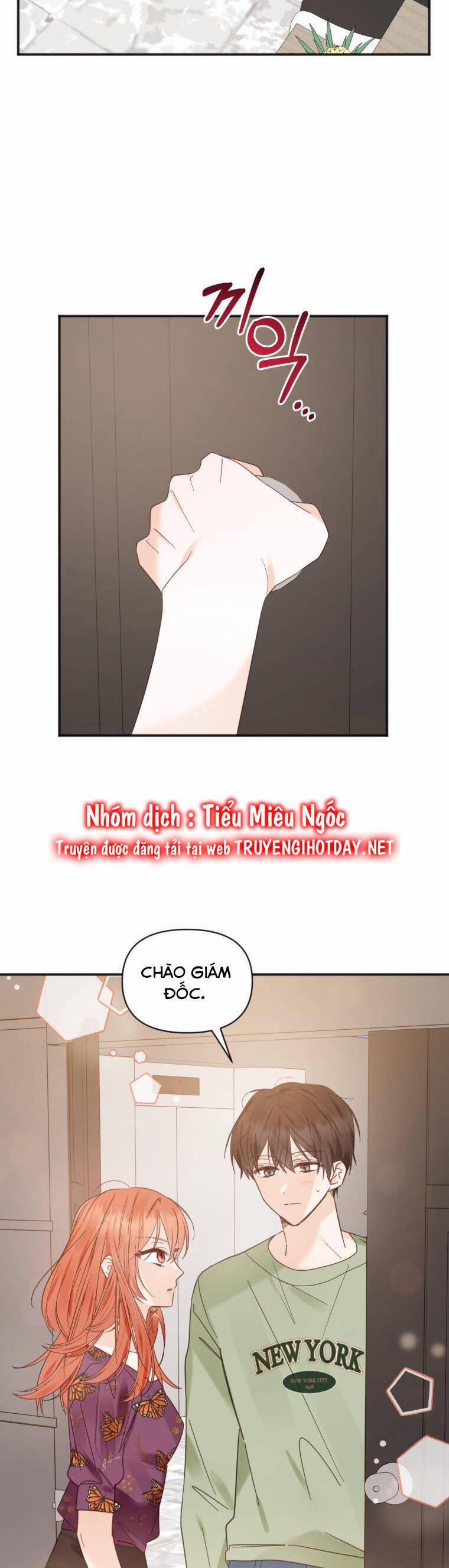 Dịch Vụ Chuyển Phát Hình Mẫu Lý Tưởng 84 trang 11