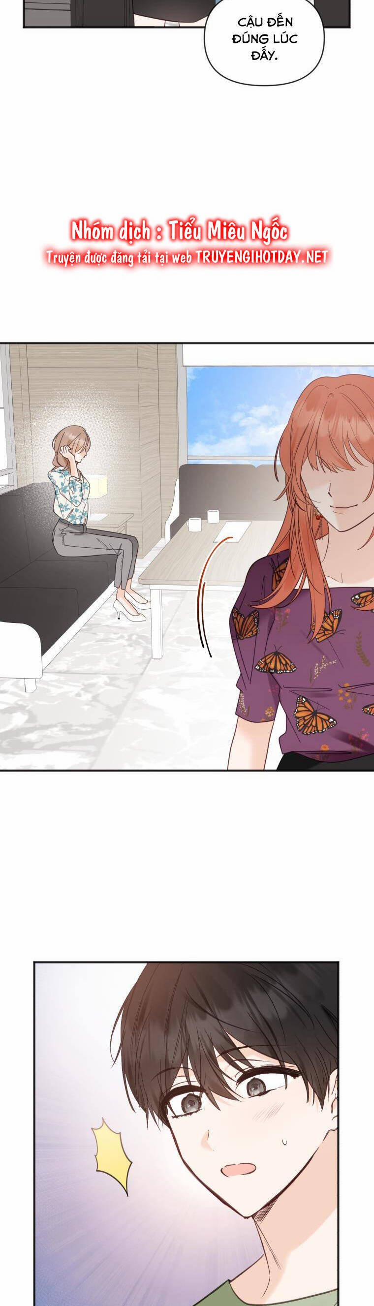 Dịch Vụ Chuyển Phát Hình Mẫu Lý Tưởng 84 trang 13