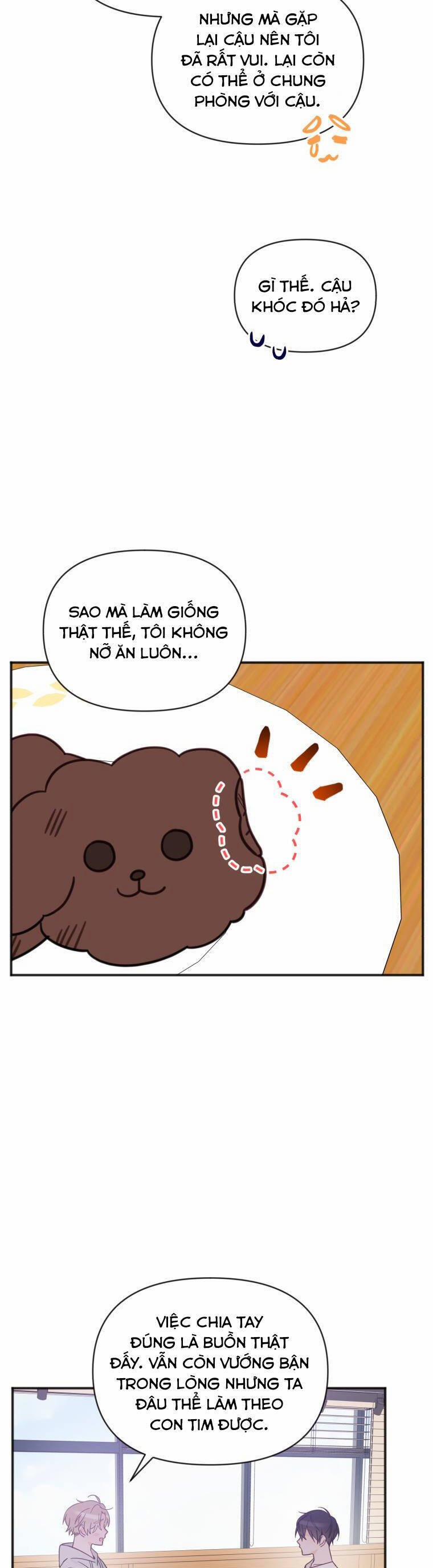 Dịch Vụ Chuyển Phát Hình Mẫu Lý Tưởng 84 trang 4