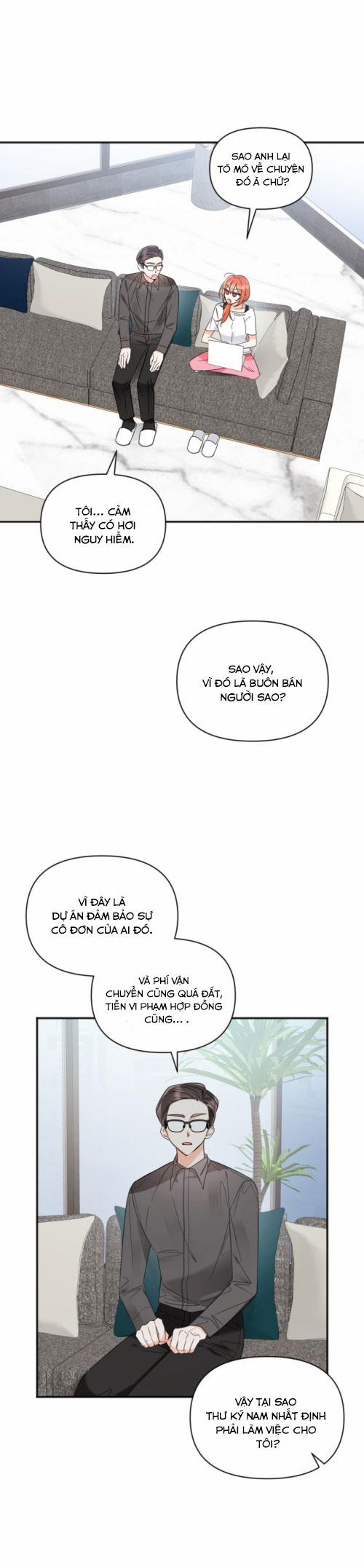 Dịch Vụ Chuyển Phát Hình Mẫu Lý Tưởng 85 trang 5