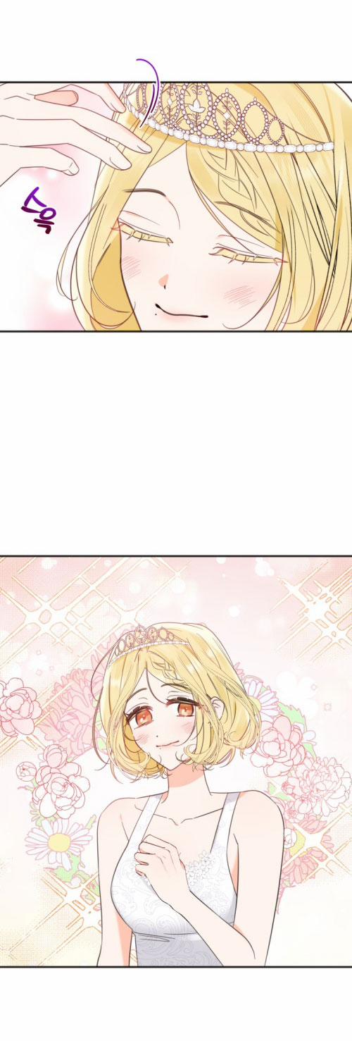 Dịch Vụ Chuyển Phát Hình Mẫu Lý Tưởng 86 trang 9